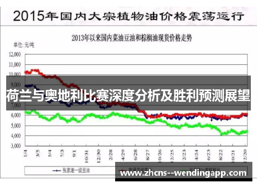 荷兰与奥地利比赛深度分析及胜利预测展望 荷兰与奥地利比赛深度分析及胜利预测展望