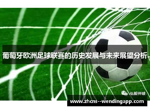 葡萄牙欧洲足球联赛的历史发展与未来展望分析 葡萄牙欧洲足球联赛的历史发展与未来展望分析