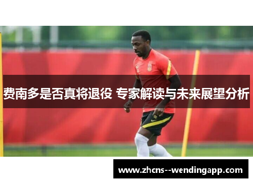 费南多是否真将退役 专家解读与未来展望分析 费南多是否真将退役 专家解读与未来展望分析